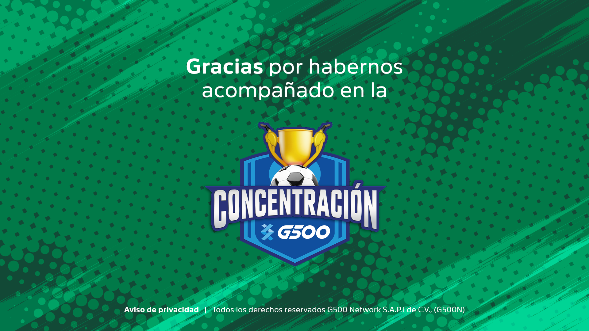 Descripción de la imagen